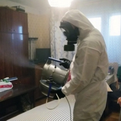 Дезинфекция от клопов в Стародубе