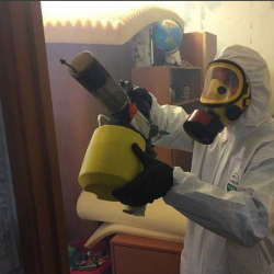 Уничтожение клопов в квартире. Стародуб