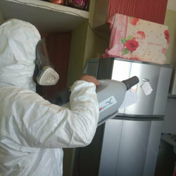 Уничтожение насекомых в квартире. Стародуб